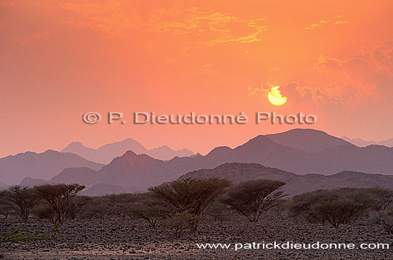 Khatmat Milahah plains, Hajar mountains at sunset, OMAN  (OM10241)
