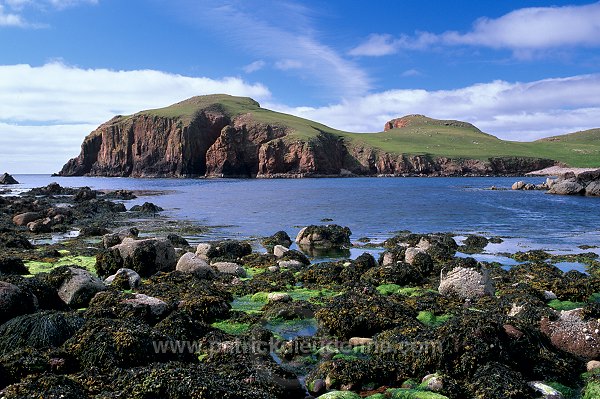 The Hams of Roe, Muckle Roe, Shetland, Scotland -  Muckle Roe, Shetland  13190