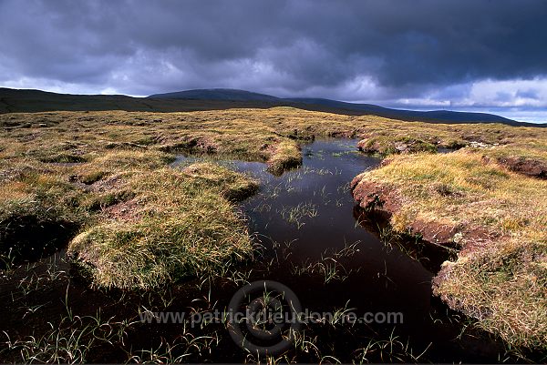 Northmavine: Ronas Hill (450 m), Shetland - Ronas Hill, 450 m  13624