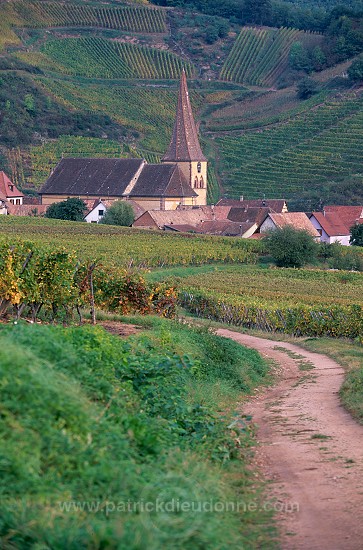 Niedermorschwihr, Haut Rhin, Alsace, France - FR-ALS-0425
