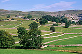 Malham typical landscape, Yorkshire NP, England -  Près de Malham  12906