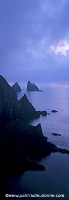 Fair Isle north cliffs in the mist, Shetland. - Falaises nord de Fair Isle 13035