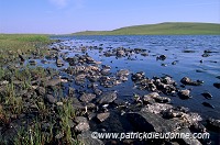 Fetlar: loch of Funzie, Shetland, Scotland -  lac de Funzie, Fetlar 13079