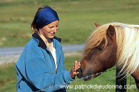 Shetland pony, Shetland - Poney des Shetland, Ecosse  13764