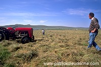 Crofter and old tractor, Unst, Shetland - Crofter et vieux tracteur  13953