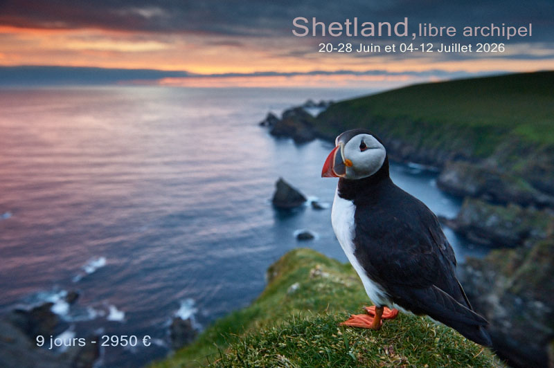 Voyage photo Shetland, 2026